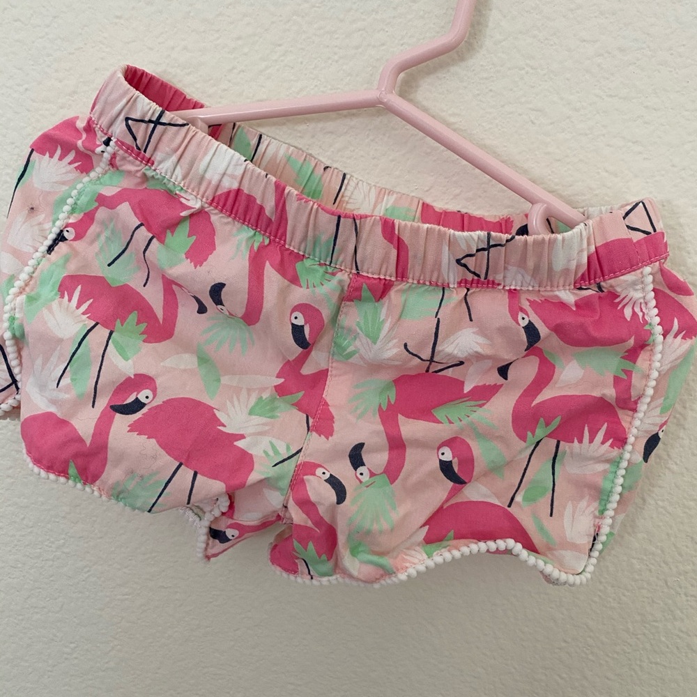 flamingo shorts